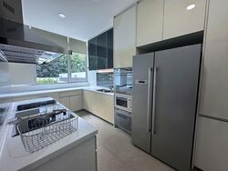 The Vision (D5), Terrace #564757401